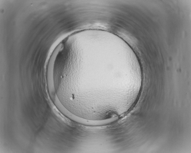 X0000067001200200604241356