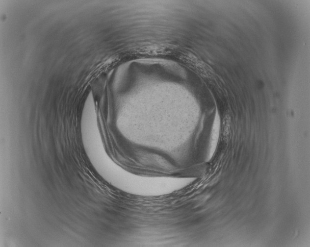 X0000067001202200604241355