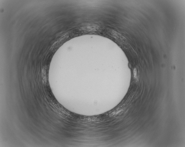 X0000067001203200604241355