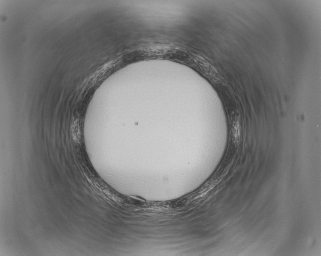 X0000067001204200604241355