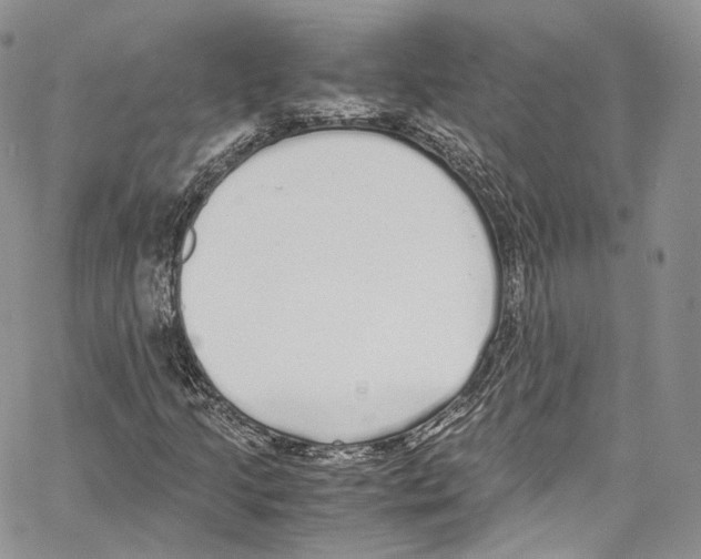 X0000067001205200604241355