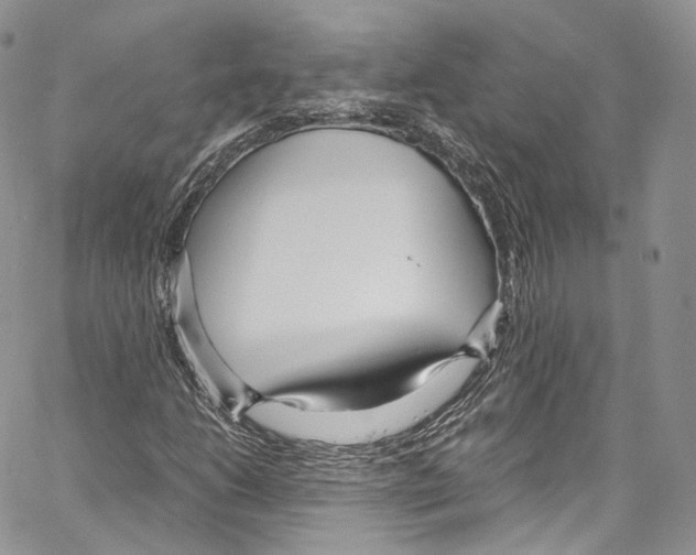 X0000067001206200604241355