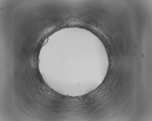 X0000067001207200604241355