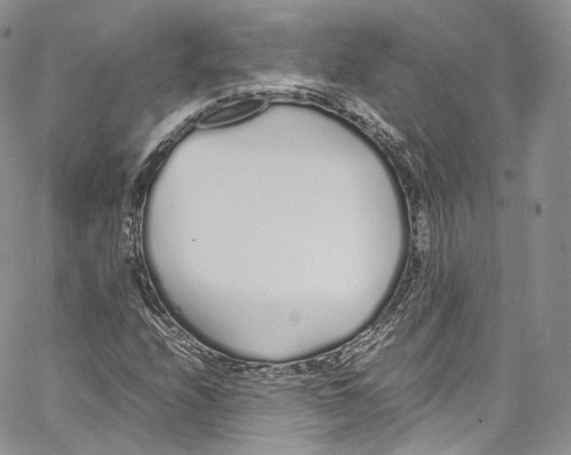 X0000067001208200604241355