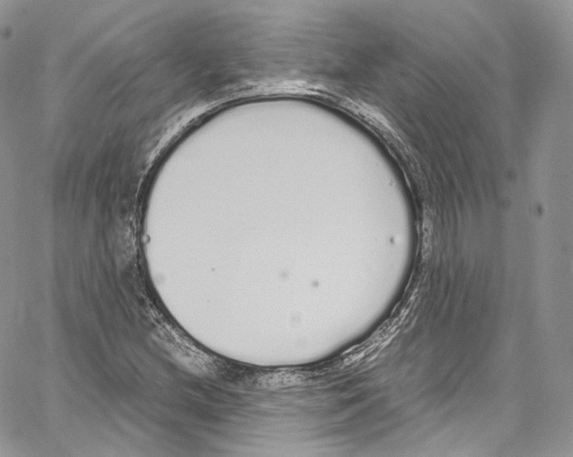 X0000067001212200604241355