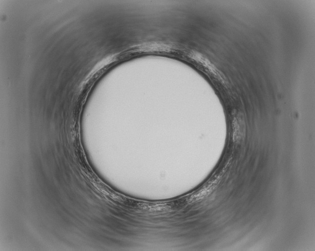 X0000067001213200604241355