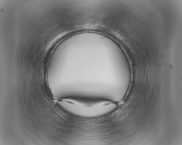 X0000067001214200604241356