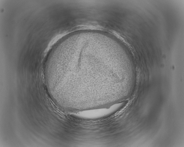 X0000067001215200604241356