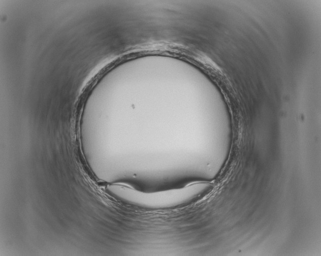 X0000067001216200604241356