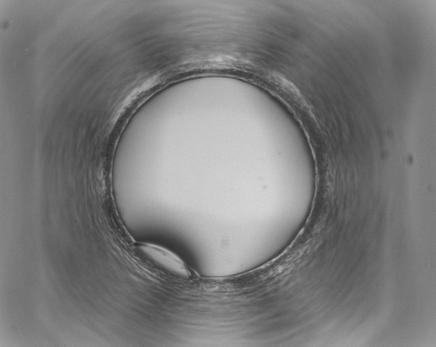 X0000067001218200604241356