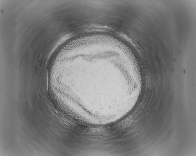 X0000067001219200604241356