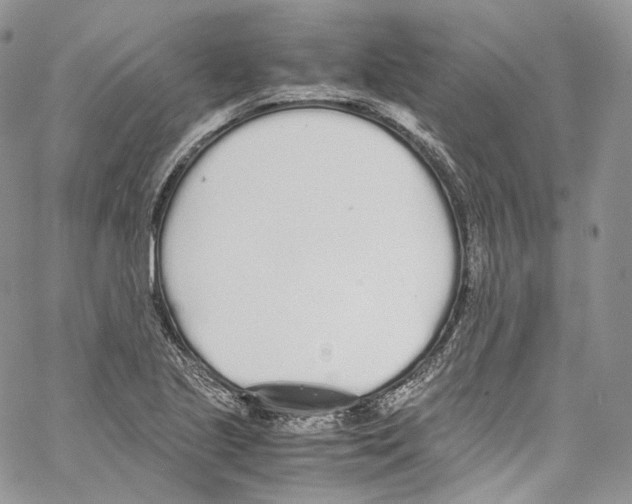 X0000067001221200604241356