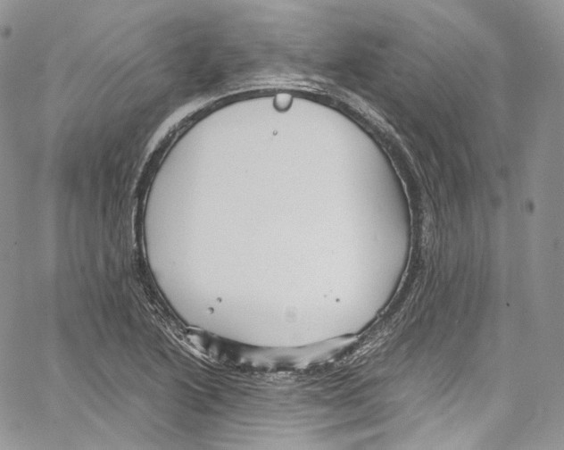 X0000067001222200604241356