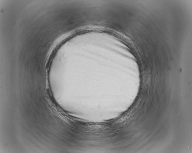 X0000067001223200604241356