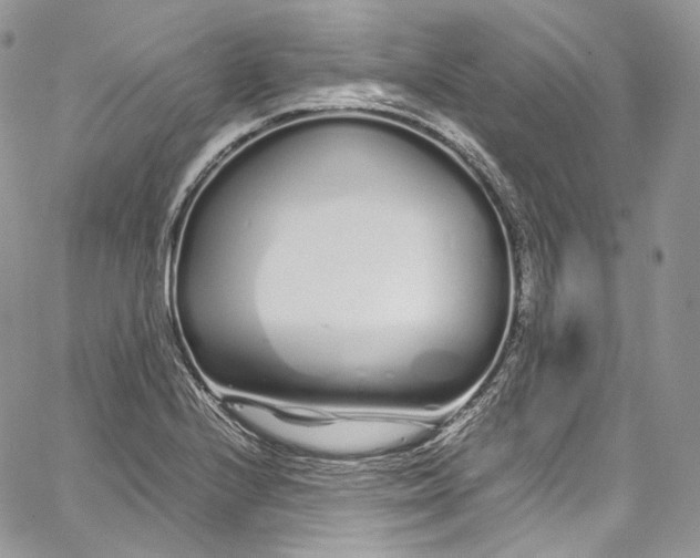 X0000067001224200604241356