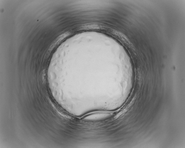 X0000067001225200604241356