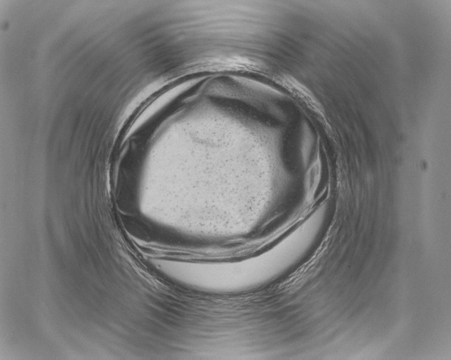 X0000067001226200604241356