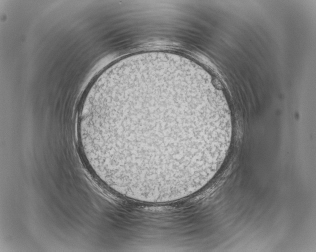 X0000067001227200604241356