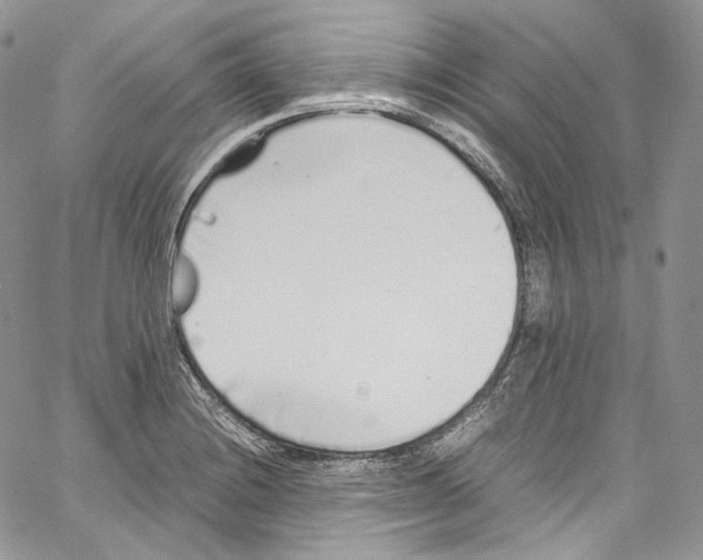 X0000067001228200604241356