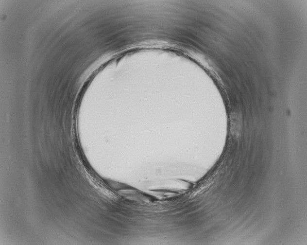 X0000067001229200604241356