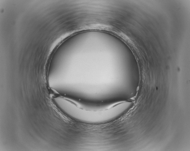 X0000067001230200604241356