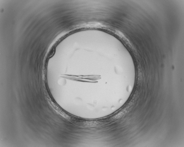 X0000067001232200604241356