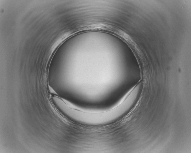 X0000067001234200604241356