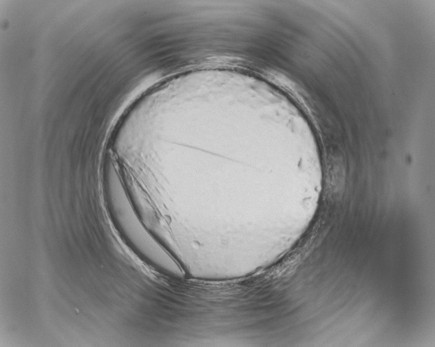 X0000067001235200604241356