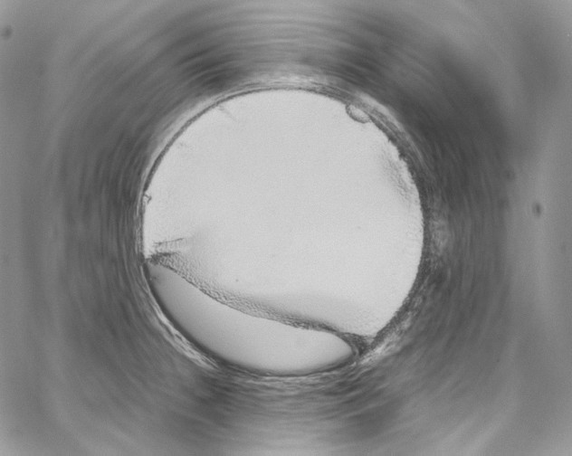 X0000067001236200604241356