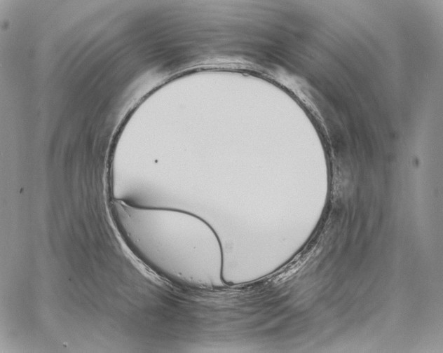 X0000067001237200604241356