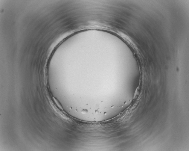 X0000067001238200604241356