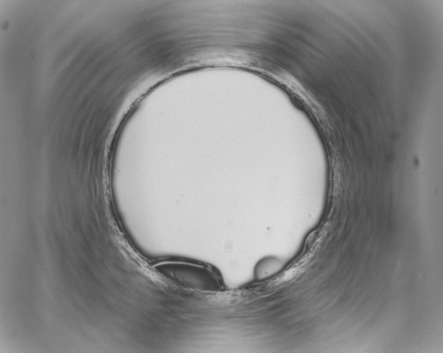 X0000067001240200604241356