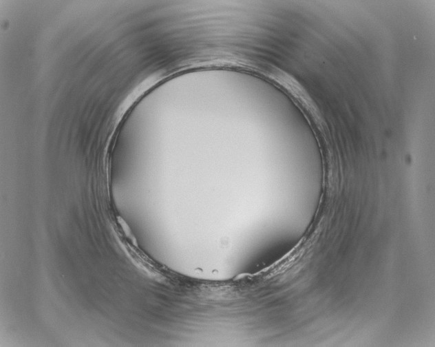 X0000067001242200604241356