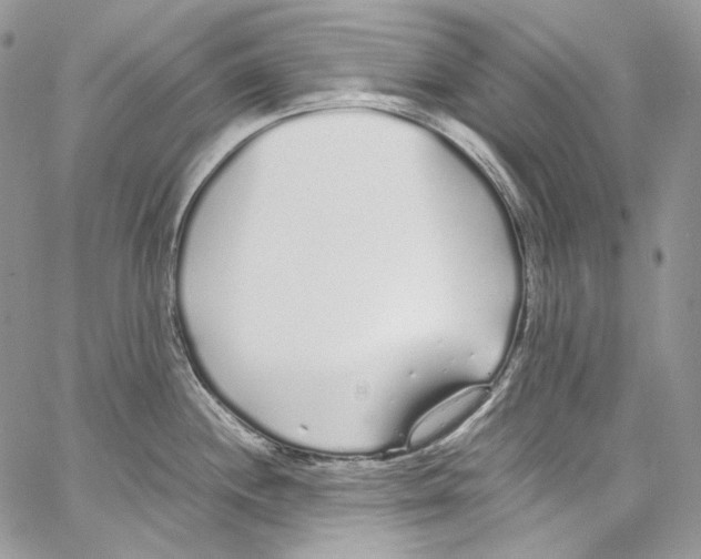 X0000067001244200604241356