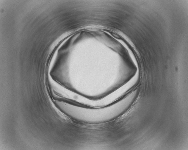 X0000067001245200604241356