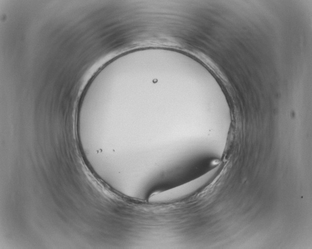 X0000067001246200604241356