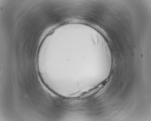 X0000067001247200604241356