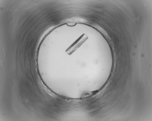 X0000067001248200604241356