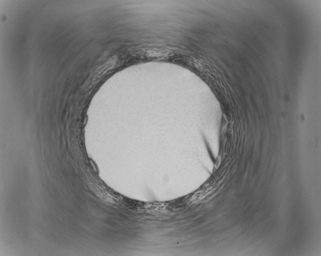 X0000067001249200604241355