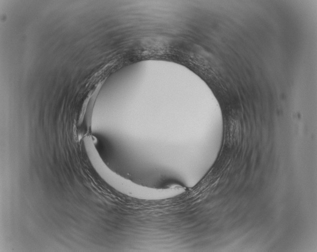 X0000067001250200604241355