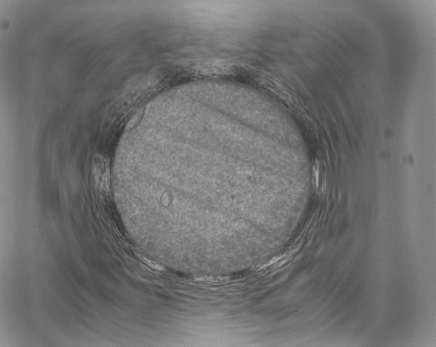 X0000067001251200604241355