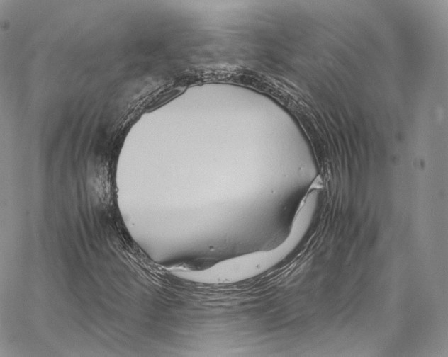 X0000067001252200604241355