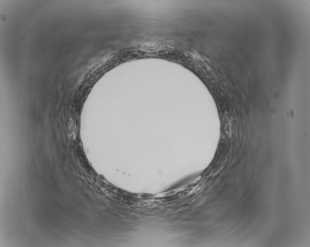 X0000067001253200604241355