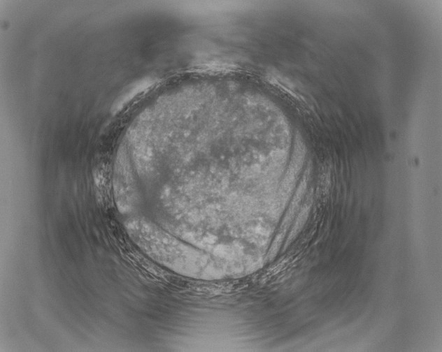 X0000067001254200604241355