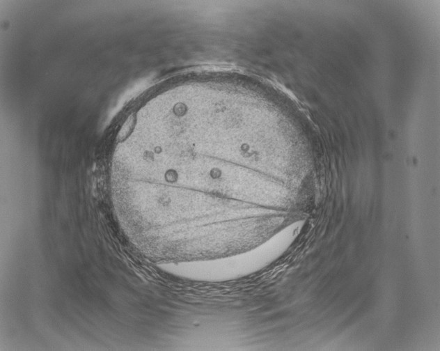 X0000067001255200604241355