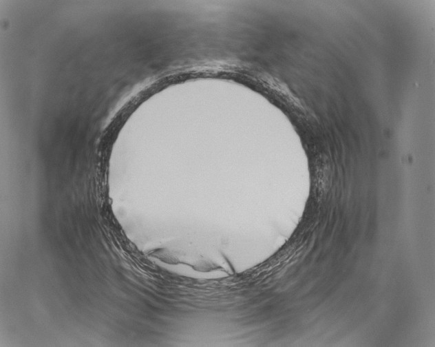 X0000067001256200604241355