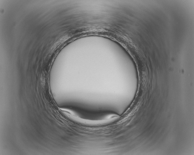 X0000067001257200604241355