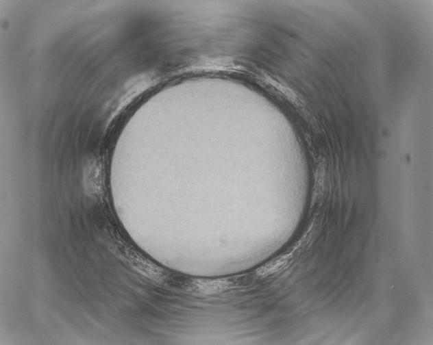 X0000067001258200604241355