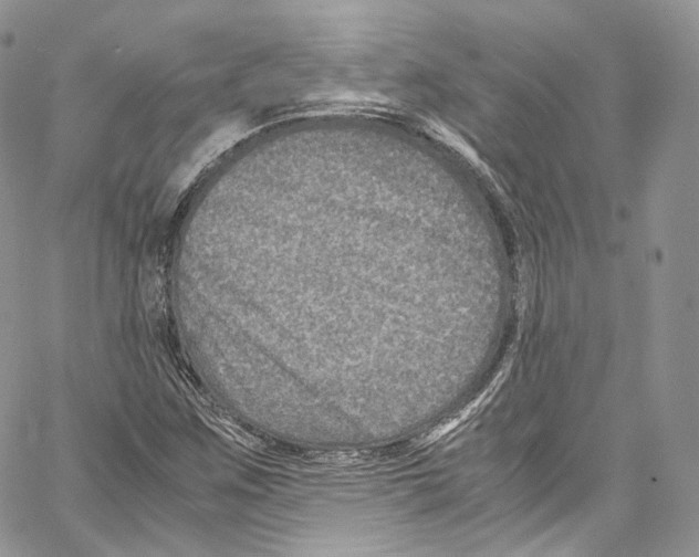 X0000067001259200604241355