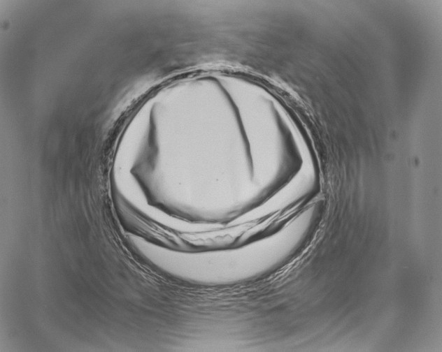 X0000067001263200604241355